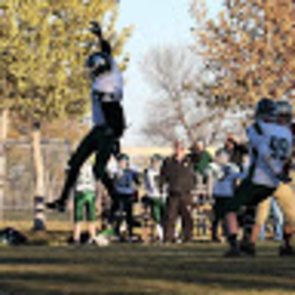 Meet your Posher, Alexander - Picture 1 of 1